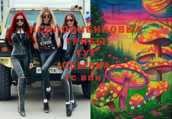 2c-b Арсеньев